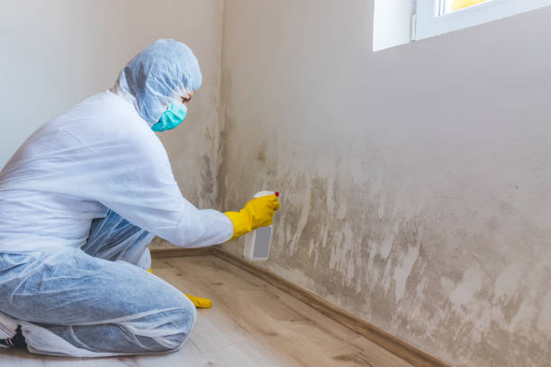Hvac And Air Duct Mold Remediation inspection of HVAC system in Excelsior